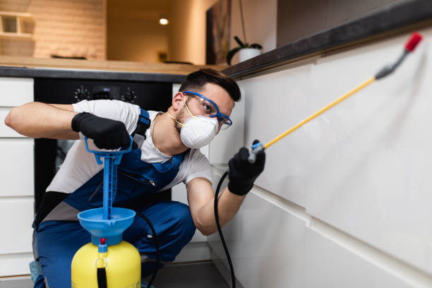 Best Pest Control Near Me  in Egon City, OR