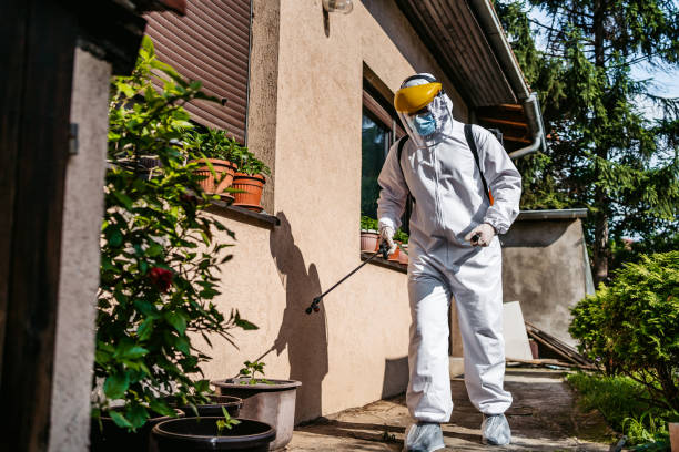 Best Best Pest Control Companies  in Egon City, OR