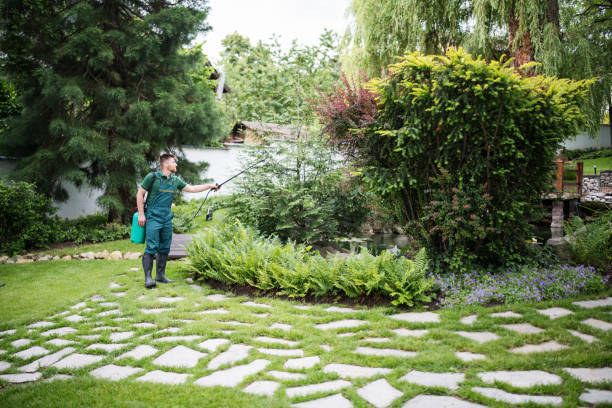 Best Pest Prevention Services  in Egon City, OR