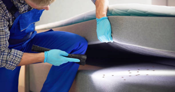 Best Emergency Pest Control  in Egon City, OR