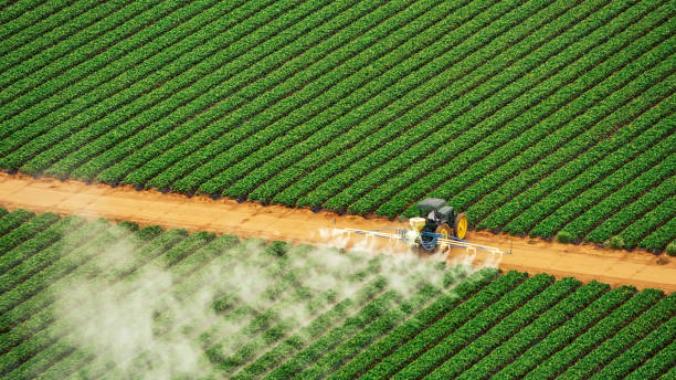 Best Pest Removal Services  in Egon City, OR