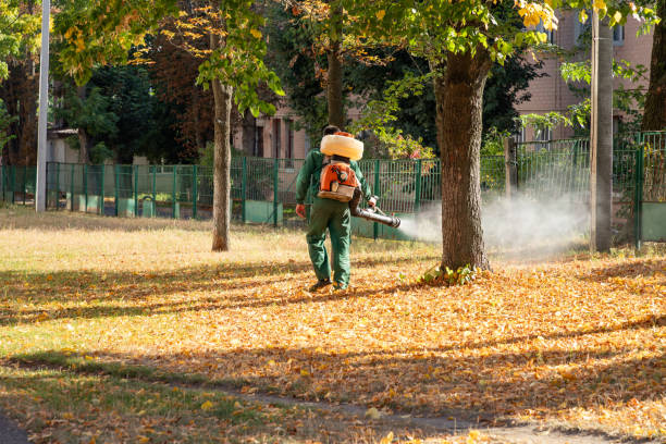 Best Emergency Pest Control  in Egon City, OR